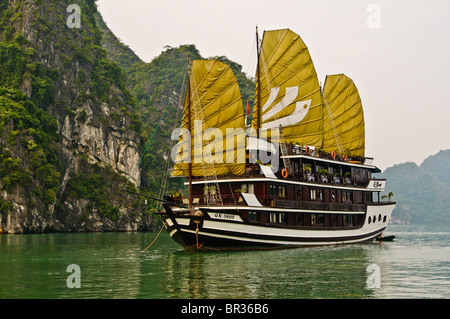 Vista delle formazioni di pietra calcarea con una indesiderata in primo piano nella baia di Halong, Vietnam Foto Stock