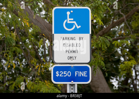 Parcheggio Disabili spazio segno, STATI UNITI D'AMERICA Foto Stock