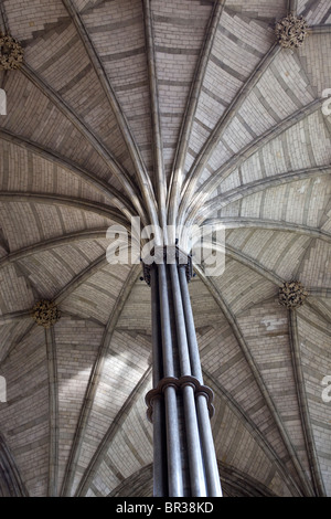 La Chapter House Abbazia di Westminster Londra Inghilterra REGNO UNITO Foto Stock