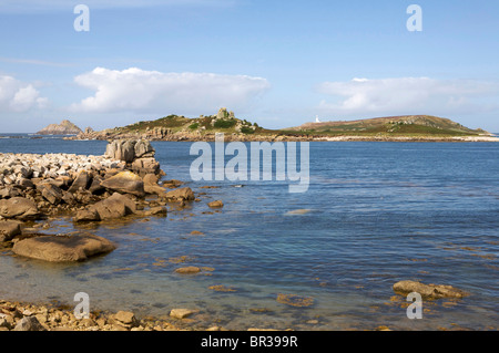 Wild Agapanthus piante su Tresco Isole Scilly Foto Stock