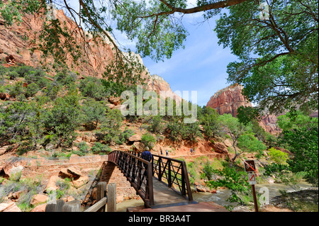 Ponte sul pool di smeraldo Trail Mount Zion National Park nello Utah Foto Stock