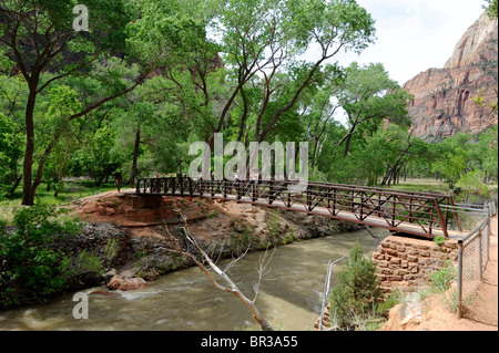 Ponte sul pool di smeraldo Trail Mount Zion National Park nello Utah Foto Stock