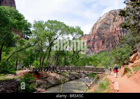 Ponte sul pool di smeraldo Trail Mount Zion National Park nello Utah Foto Stock