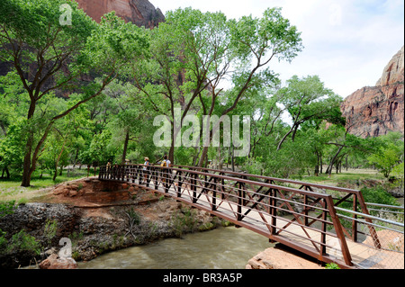 Ponte sul pool di smeraldo Trail Mount Zion National Park nello Utah Foto Stock