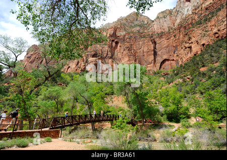 Ponte sul pool di smeraldo Trail Mount Zion National Park nello Utah Foto Stock