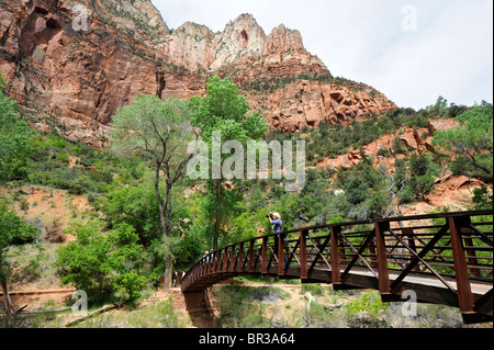 Ponte sul pool di smeraldo Trail Mount Zion National Park nello Utah Foto Stock