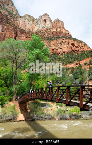 Ponte sul pool di smeraldo Trail Mount Zion National Park nello Utah Foto Stock