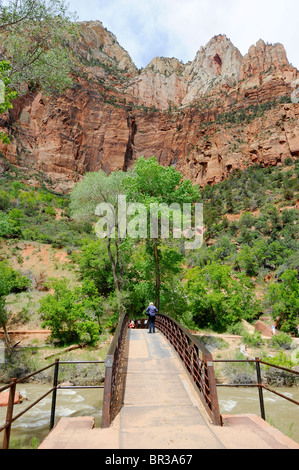 Ponte sul pool di smeraldo Trail Mount Zion National Park nello Utah Foto Stock