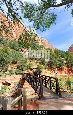 Ponte sul pool di smeraldo Trail Mount Zion National Park nello Utah Foto Stock
