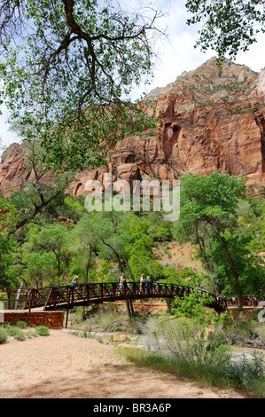 Ponte sul pool di smeraldo Trail Mount Zion National Park nello Utah Foto Stock