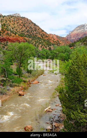 Canyon Area di giunzione Mount Zion National Park nello Utah Foto Stock