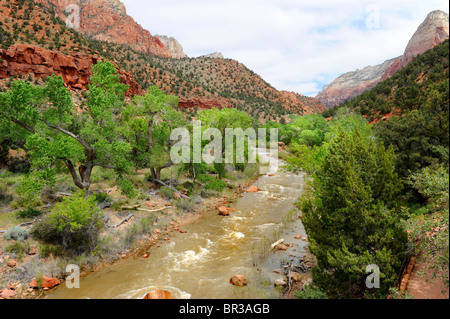 Canyon Area di giunzione Mount Zion National Park nello Utah Foto Stock