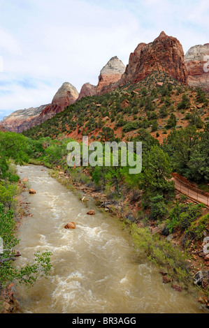 Canyon Area di giunzione Mount Zion National Park nello Utah Foto Stock