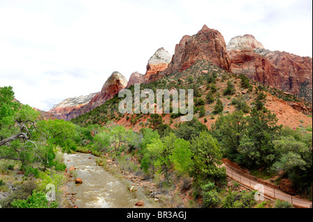 Canyon Area di giunzione Mount Zion National Park nello Utah Foto Stock