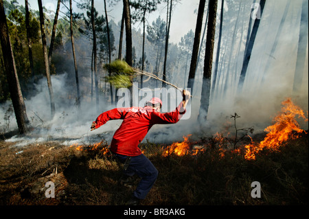 Una suola fireman tenta di utilizzare un ramo di albero a mettere fuori un incendio in una foresta Foto Stock
