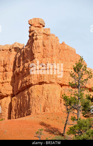 Scenic Byway 12 vicino al Parco Nazionale di Bryce Canyon dello Utah Foto Stock