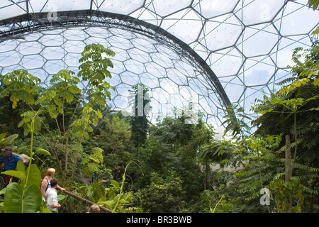 All'interno del biome tropicale all'Eden Project in Cornovaglia Foto Stock