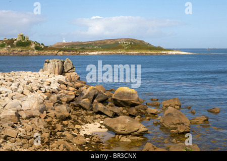 Wild Agapanthus piante su Tresco Isole Scilly Foto Stock