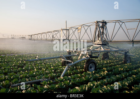 Tubi di irrigazione e sistemi e macchine per il giardinaggio di mercato aziende agricole a Tarleton, Preston, Regno Unito Foto Stock