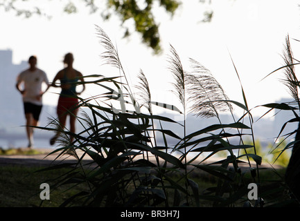 Jogging sulla spianata lungo il Fiume Charles a Boston, Massachusetts Foto Stock