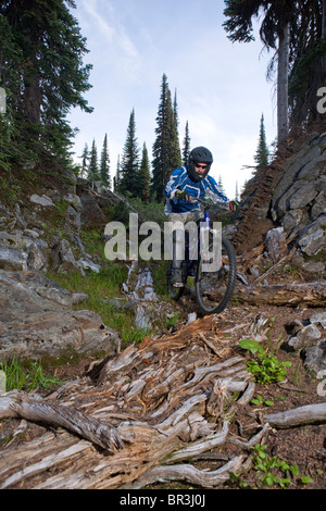 Percorsi in bicicletta in prato alpino, Sol Mountain, BC Foto Stock