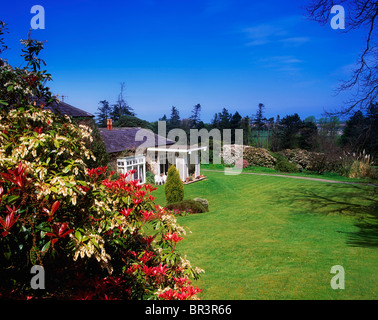 Sandyford, Co Dublin, Irlanda, la casa con Sarcococca a Fernhill Gardens Foto Stock