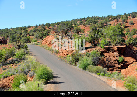 Capitol Reef National Park nello Utah Foto Stock