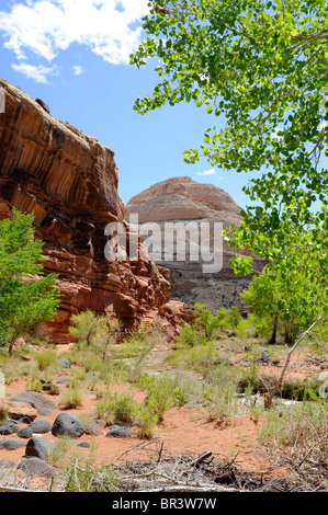 Capitol Dome lungo Fremont River Capitol Reef National Park nello Utah Foto Stock