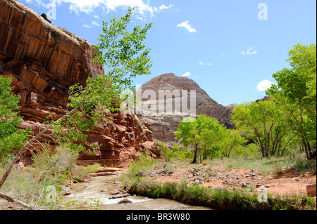 Capitol Dome lungo Fremont River Capitol Reef National Park nello Utah Foto Stock