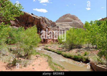 Capitol Dome lungo Fremont River Capitol Reef National Park nello Utah Foto Stock