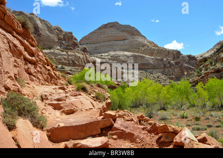 Capitol Dome lungo Fremont River Capitol Reef National Park nello Utah Foto Stock