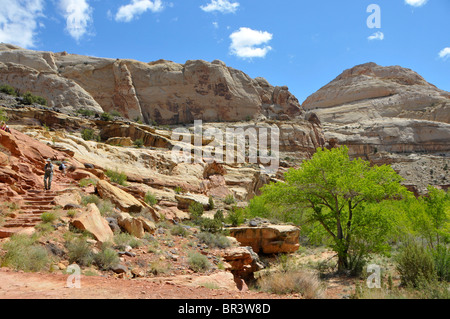 Capitol Dome lungo Fremont River Capitol Reef National Park nello Utah Foto Stock