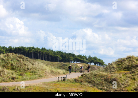 Percorso in bicicletta in Kennemerduinen, la parte centrale del Sud Kennemerland National Park riserva naturale nei Paesi Bassi. Foto Stock