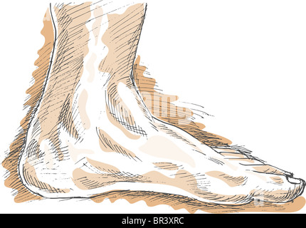 Mano disegno illustrazione di sinistra piede umano con evidenza. Foto Stock