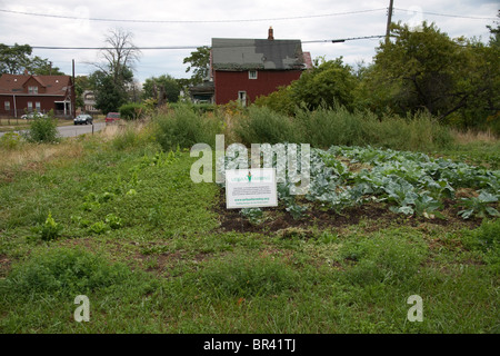 Giardino urbano lato est di Detroit Michigan STATI UNITI Foto Stock