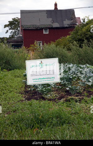 Giardino urbano lato est di Detroit Michigan STATI UNITI Foto Stock