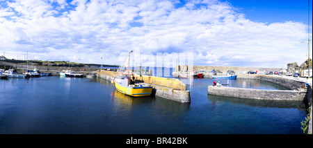 Testa a gancio, Co Wexford, Irlanda, Slade Harbour Foto Stock