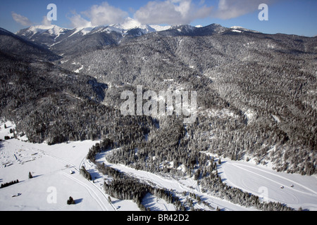 Boschi innevati nel paesaggio di montagna, in Germania, in Baviera, Finzbach Foto Stock