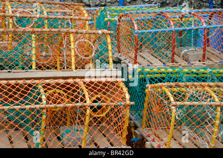 Aragosta colorati vasi di essiccazione al sole. Foto Stock