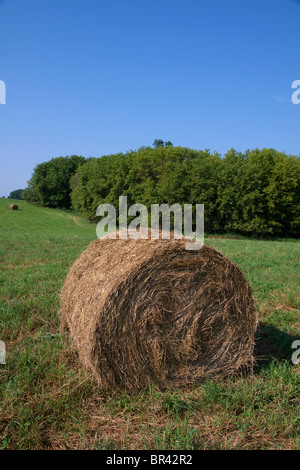 Balle di fieno central Michigan STATI UNITI Foto Stock