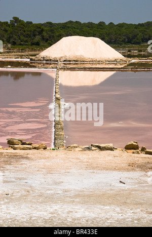 Opere di sale in ColÚnia de Sant Jordi, Maiorca Foto Stock