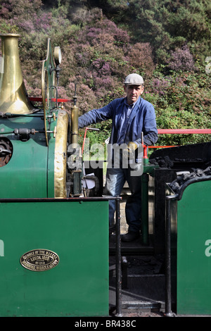 Il driver di Manning Wardle e Co. 0-6-0 serbatoio del motore Sir Berkeley attende un segnale. Il Tanfield Railway. Inghilterra, Regno Unito Foto Stock