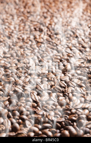 Chicchi di caffè tostati Foto Stock