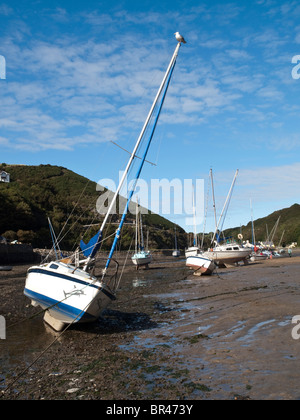 La bassa marea nel porto di Solva, Pembrokeshire Wales UK Foto Stock