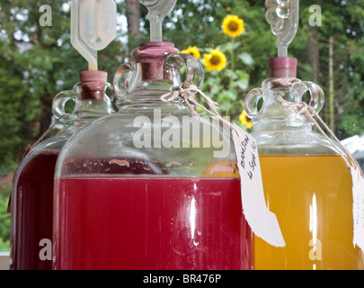 Close up di un demijohn contenenti vino fatto in casa Foto Stock