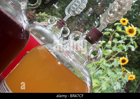 Close up di un demijohn contenenti vino fatto in casa Foto Stock