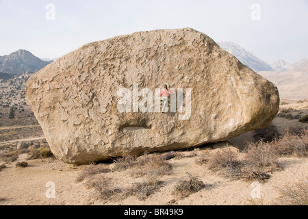 Rocciatore nella Buttermilks, vicino al Vescovo, California. Foto Stock