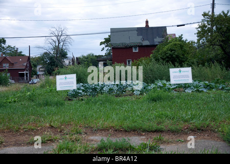 Giardino urbano lato est di Detroit Michigan STATI UNITI Foto Stock