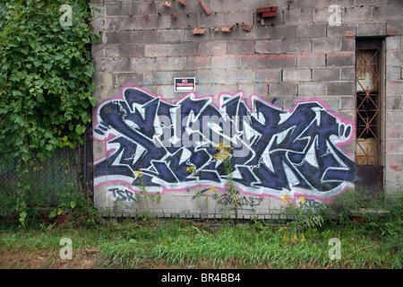 Graffiti su vacante edificio sul lato est di Detroit Michigan STATI UNITI Foto Stock