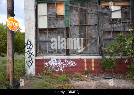 Graffiti su vacante edificio sul lato est di Detroit Michigan STATI UNITI Foto Stock